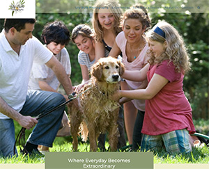 Image of LilyBulb Photography homepage